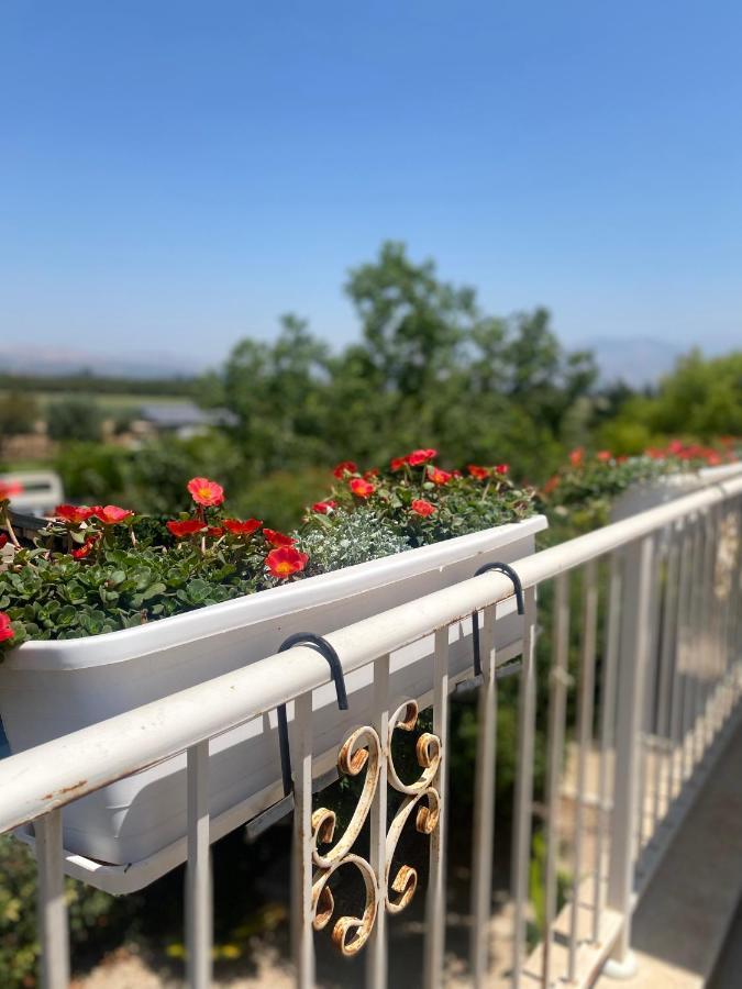 The Roof Apartman Kfar Blum Kültér fotó
